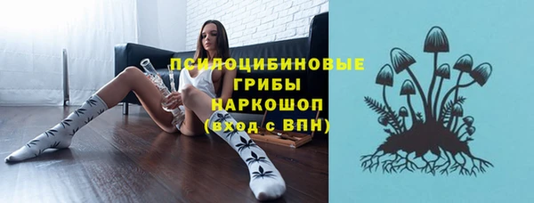 ПСИЛОЦИБИНОВЫЕ ГРИБЫ Армянск