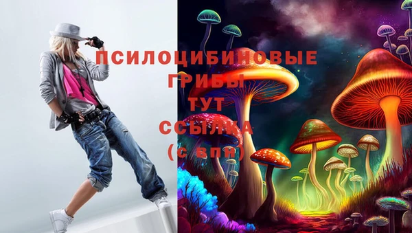 сатива Баксан