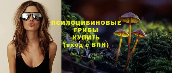 скорость Алзамай